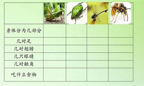 观察昆虫的作文500字初中_观察昆虫的作文500字初中生