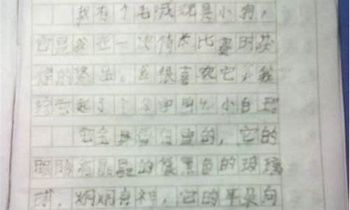 作文200字可抄免费_优秀作文200字可抄免费