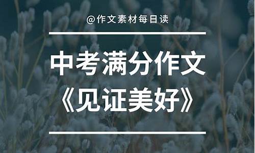 见证作文800字以上_见证作文800字以上怎么写